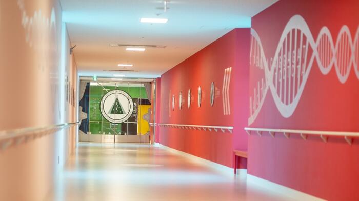 Connecting corridor (2nd floor)